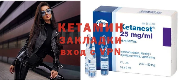 стаф Алексин