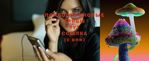 ПСИЛОЦИБИНОВЫЕ ГРИБЫ Алексеевка