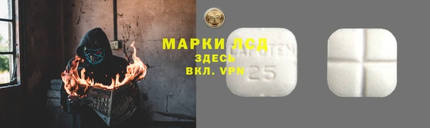 ПСИЛОЦИБИНОВЫЕ ГРИБЫ Алексеевка