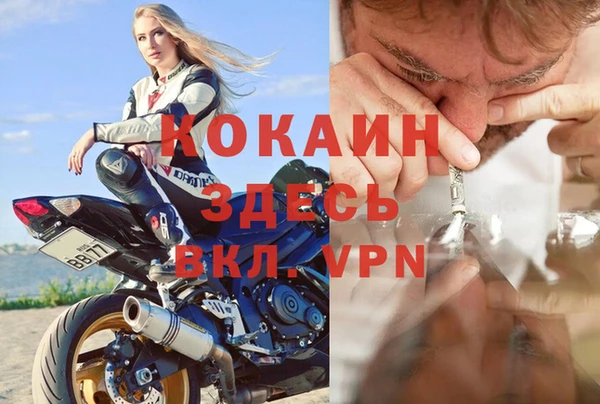 стаф Алексин