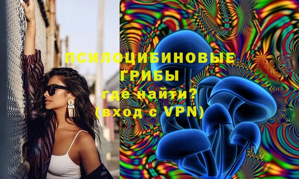прущая мука Алзамай