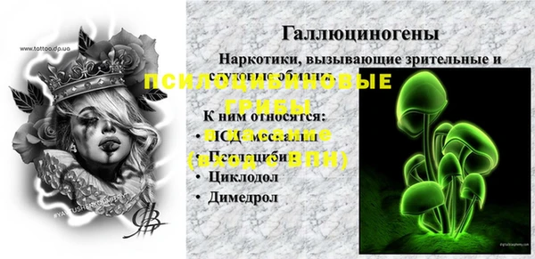 стаф Алексин