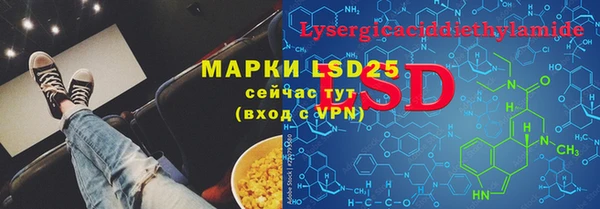 ПСИЛОЦИБИНОВЫЕ ГРИБЫ Алексеевка